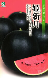 珬ʃXCJ  wPVx ێ