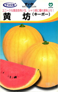 ʃXCJ  wVx ێ
