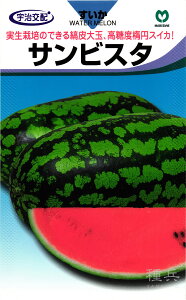 ʃXCJ  wTrX^x ێ
