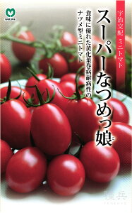 ~jg}g  wX[p[Ȃ߂x ێ