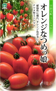 ~jg}g  wIWȂ߂x ێ