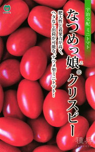 ~jg}g  wȂ߂NXs[x ێ