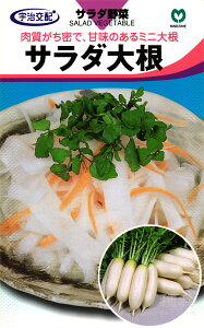 ~j卪  wT_卪x ێ