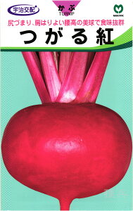 赤カブ 種 『つがる紅』 丸種