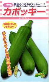 韓国カボチャ 種 『カボッキー南瓜』 松永種苗/小袋（10粒）