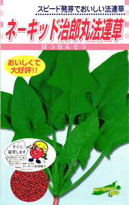 l[LbhqzE\E  wl[LbhYہx ic