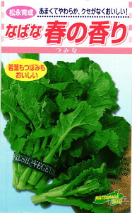 �i�o�i �� �w�t�̍���x ���i��c