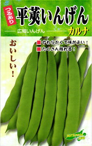 邠CQ  wL蕽䰁EJiؓx ic