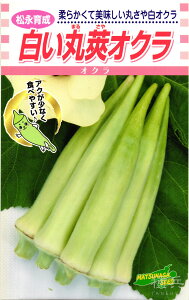 䰃IN  wۉpINx ic