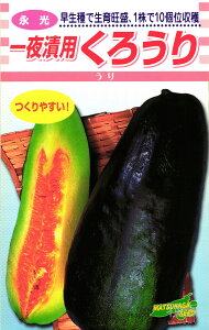 cPE  w낤x ic