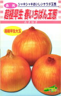 超極早生タマネギ 種 『春いちばん』 松永種苗