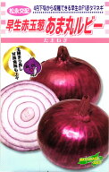 早生赤タマネギ 種 『あま丸ルビー』 松永種苗