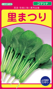 �R�}�c�i �� �w���܂� (MSX-1243)�x �������c��