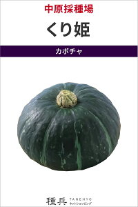 �~�j�J�{�`�� �� �w����P�x �����̎��