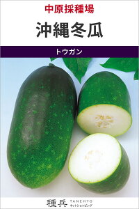 �g�E�K�� �� �w����~�Z�x �����̎��