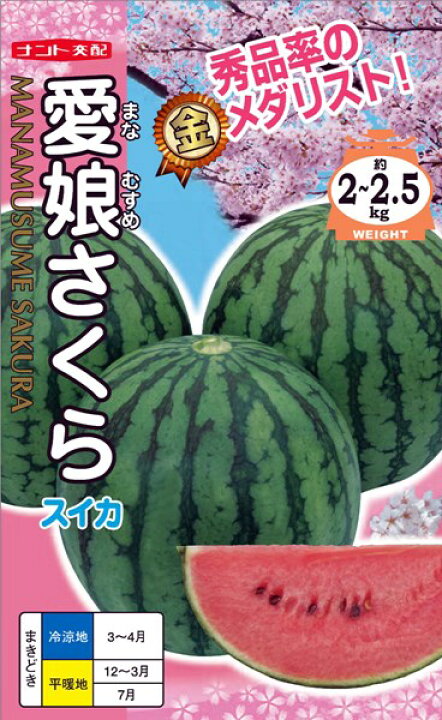 楽天市場 紅小玉スイカ 種 愛娘さくら ナント種苗 0粒 種兵ネットショッピング