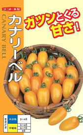 プラム型ミニトマト 種 『カナリーベル』 ナント種苗/小袋（20粒）