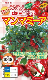 楽天市場 トマト 種 支柱 不要の通販