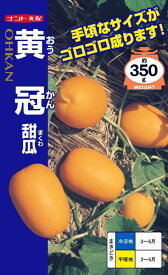 楽天市場 マクワウリの通販