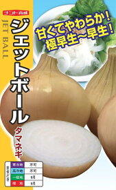 極早生タマネギ 種 『ジェットボール』 ナント種苗/20ml