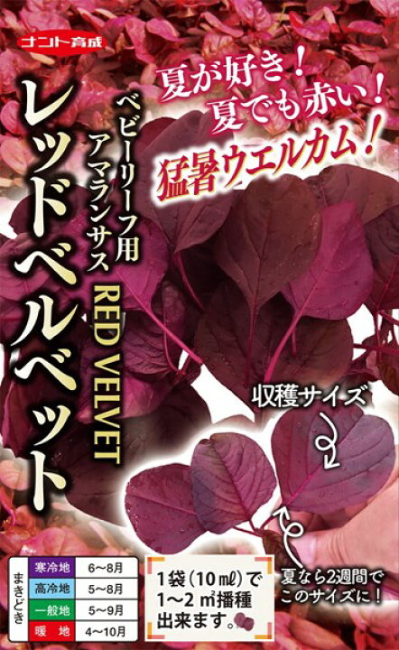 楽天市場 ベビーリーフ用アマランサス 種 レッドベルベット ナント種苗 1dl 種兵ネットショッピング