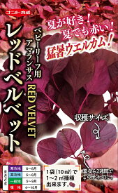 ベビーリーフ用アマランサス 種 『レッドベルベット』 ナント種苗