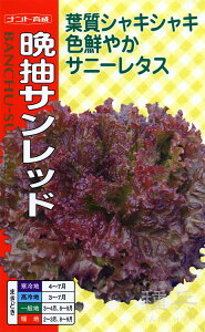 サニーレタス 種 『晩抽サンレッド』 ナント種苗