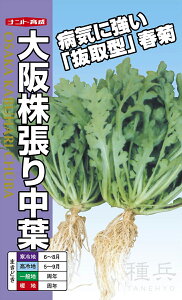 VMN  w㊔蒆tx igc