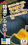 黒皮栗カボチャ 種 『特濃こふき5．6』 ナント種苗