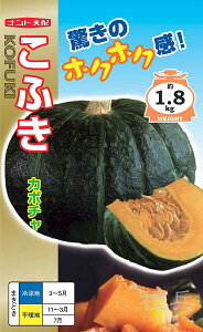 黒皮栗カボチャ 種 『こふき』 ナント種苗