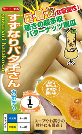 バターナッツ南瓜 種 『すずなりバタ子さん』 ナント種苗