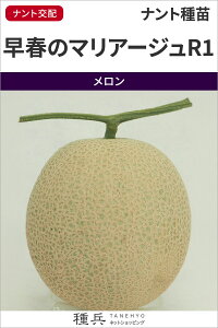 lbgiԓj  wt̃}A[WR1x igc