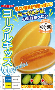 vXn(ԓ)  w[OLbXx igc