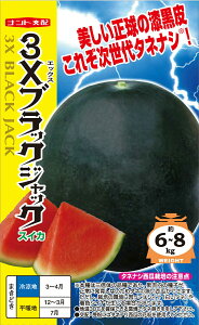 ȂXCJ  w3XubNWbNx igc
