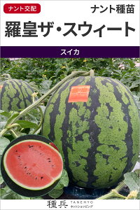 ʃXCJ  wcUEXEB[gx igc