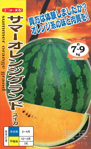 IWʃXCJ  wT}[IWOhx igc