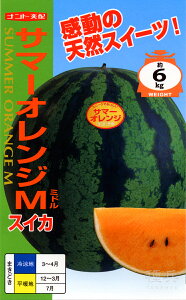 IWʃXCJ  wT}[IW~hx igc