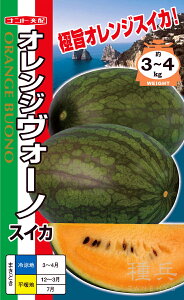 IWȉ~ʃXCJ  wIWH[mx igc