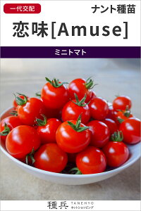 ~jg}g  w[Amuse] (A~[Y)x igc