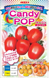 x^~jg}g  wLfB|bv [Wx igc