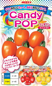 x^~jg}g  wLfB|bv }_x igc