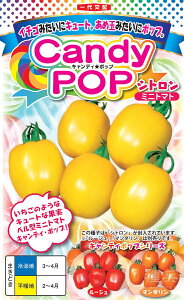 x^~jg}g  wLfB|bv Vgx igc