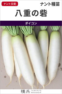 _CR  wd̍ԁx igc