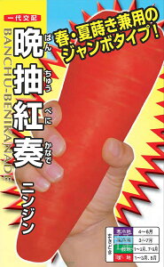 W{jW  wӒgtiׂɂȂŁjx igc