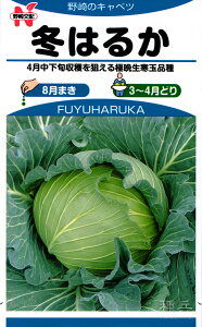 ʃLxc  w~͂邩x ̎