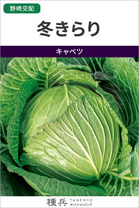 ���ʃL���x�c �� �w�~�����x ���̎��