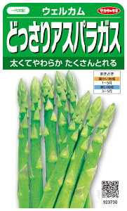 AXpKX  wEFJx TJ^̃^l