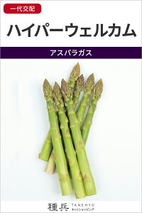 AXpKX  wnCp[EFJx TJ^̃^l