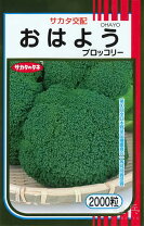 楽天市場】ブロッコリー 種 おはようの通販