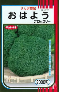 �u���b�R���[ �� �w���͂悤�x �T�J�^�̃^�l